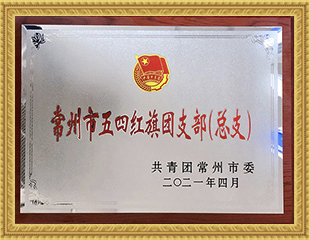 2021年五四紅旗團(tuán)支部